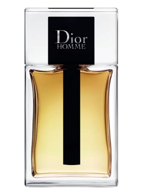 homme eau de toilette dior|christian dior homme 2020.